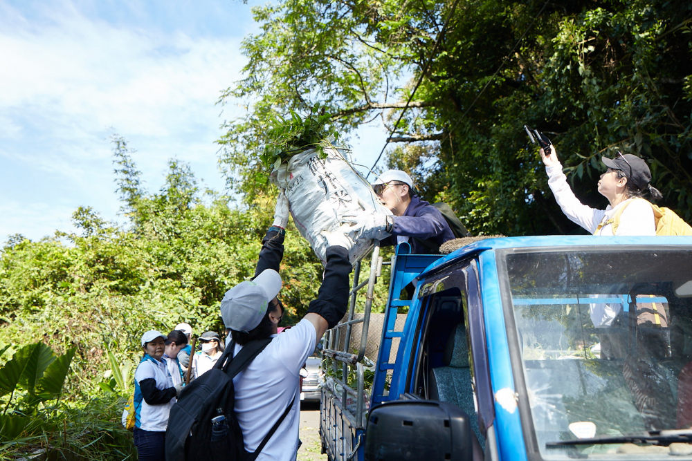 友達串聯志工組成水環境巡守隊，針對霄裡溪沿岸3公里的小花蔓澤蘭，定期進行移除與防治工作